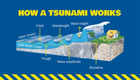 Tsunamis Science   What Causes A Tsunami An Ocean Scientist Explains - Tsunamis Science