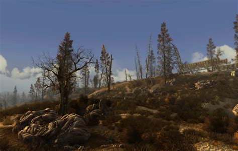 Ttw Nmc Guide