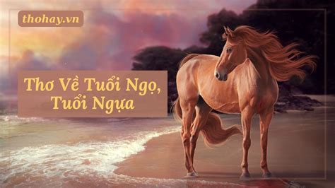 tuổi ngựa | Tnh cch tui Ng c u im