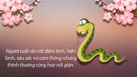 tuổi rắn | Tui T sinh nm bao nhiu Gi