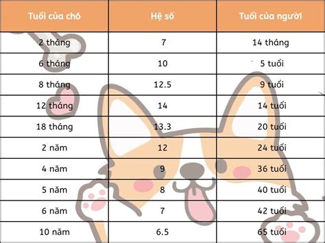 tuổi thọ của chó | Cng Thc Tnh Tui Th Ca Ch