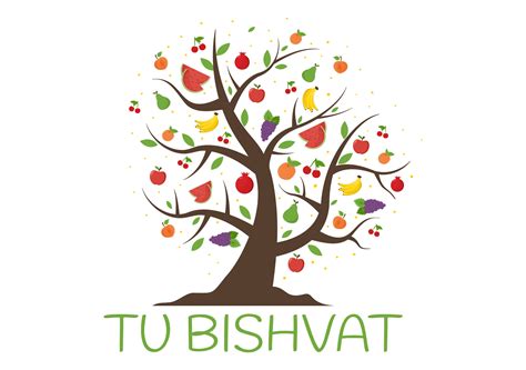 Tu B S
