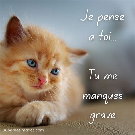 Tu Me Manques