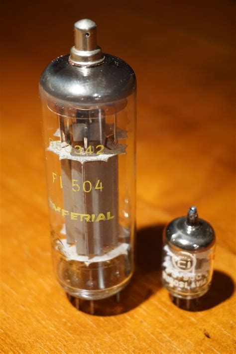 🍌👉 rg K 2024 tubeglore 