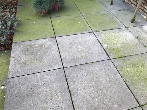 tuintegels groene aanslag