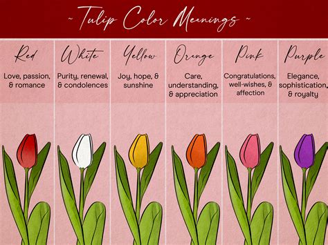 tulips colors