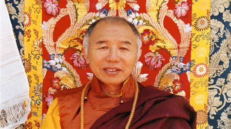 tulku urgyen rinpoche biography of mahatma