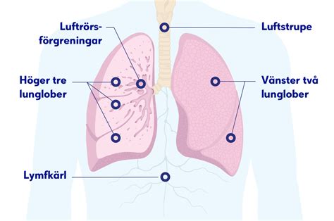 tumör lunga symptom