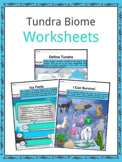 Tundra Biome Facts Tundra Biome Worksheet - Tundra Biome Worksheet