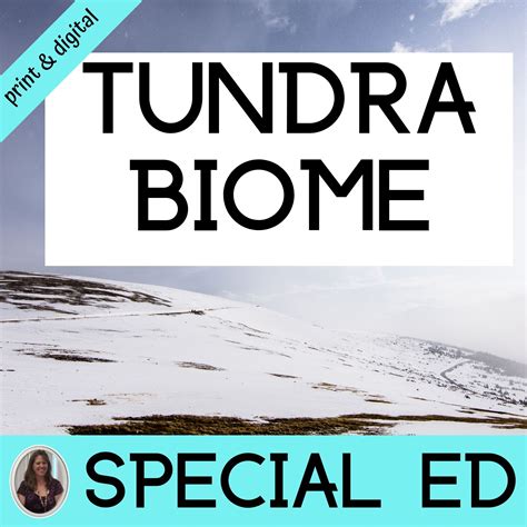 Tundra Biome For Special Education Climate Plants Animals Tundra Biome Worksheet - Tundra Biome Worksheet