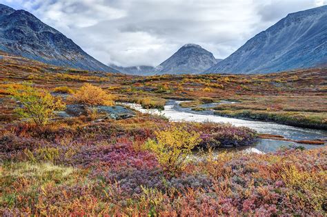 Tundra E Taiga