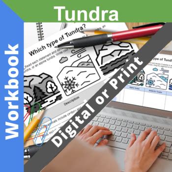 Tundra Workbook For Middle School Digital And Printable Tundra Biome Worksheet - Tundra Biome Worksheet