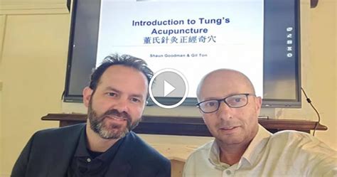 tung acupuncture