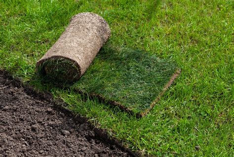 Turf Meaning