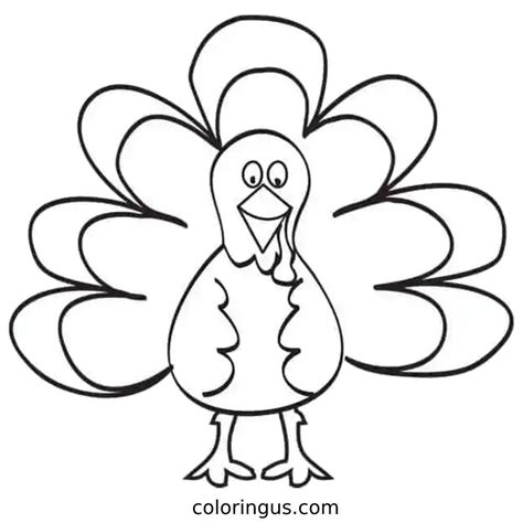 turkey color sheet