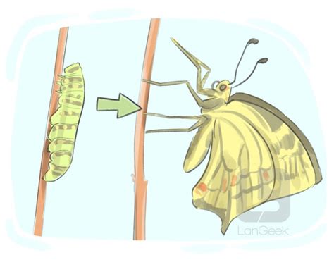 turn into | Turn into l g VietJack