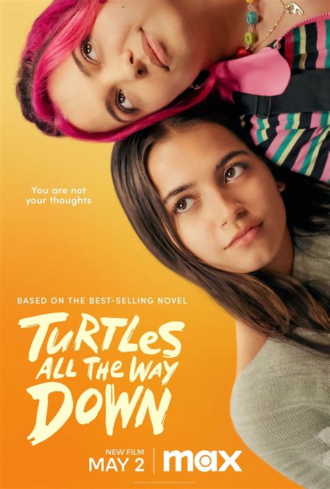 Turtle All The Way Down