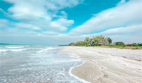 turtle beach florida