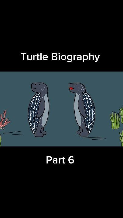 turtle biography