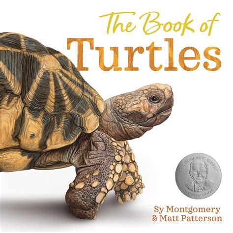 Turtle: Children Book Of Fun Facts And Amazing Photos On Animals In Nature A Wonderful Turtle Book For Kids Aged 3 7