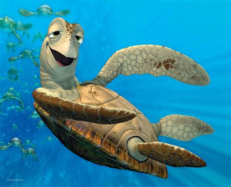 Turtle Finding Nemo