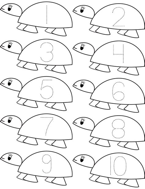 Turtle Math For Kindergarten Tpt Turtle Math Worksheets - Turtle Math Worksheets