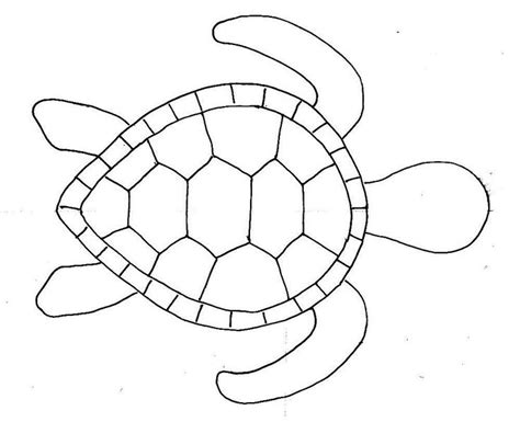 Turtle Patterns To Trace   25 Fun Amigurumi Turtle Patterns That You Can - Turtle Patterns To Trace