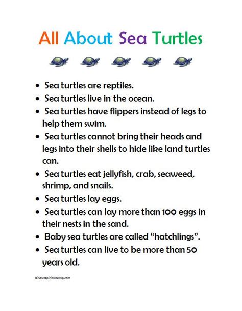 Turtle Preschool Printables Free Homeschool Deals Turtle Worksheets For Preschool - Turtle Worksheets For Preschool