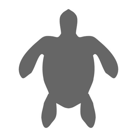 turtle shape