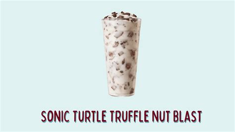Turtle Truffle Nut