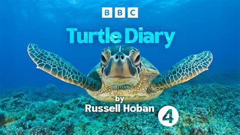 Turtle Turtle Diary
