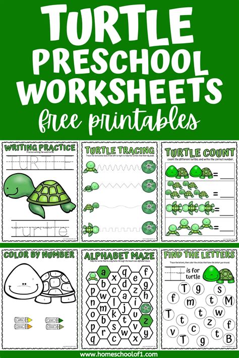 Turtle Worksheets For Preschool Free Printables Homeschool Of Turtle Math Worksheets - Turtle Math Worksheets