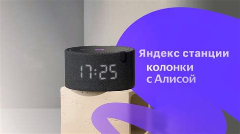 codini.rgarabwor.edu.pl. 