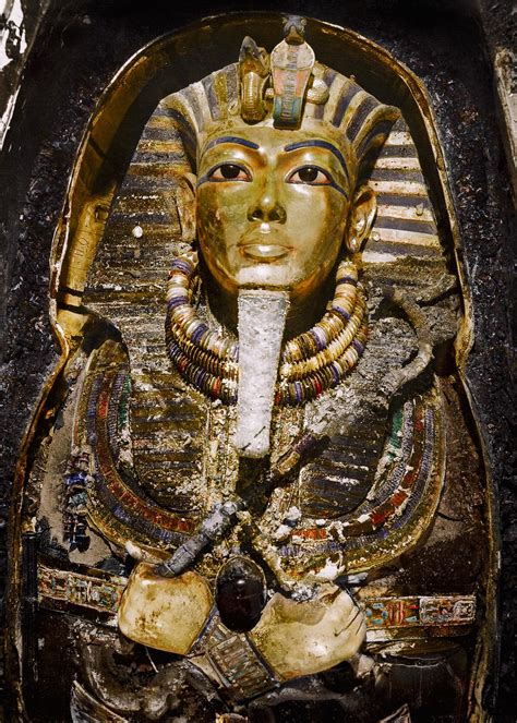 Read Online Tutankhamun 