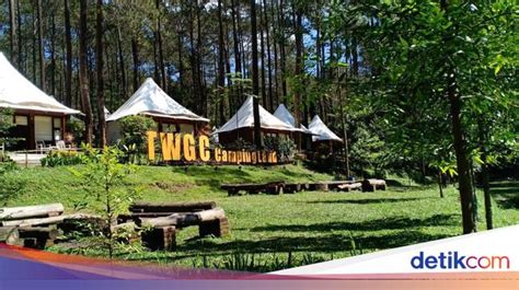 up bet: Apostas Desportivas Online Seguras e Com Proteção de Fundos para Todos os Jogadores - Foto 2