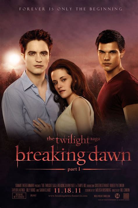 Twilight Breaking Dawn Summary