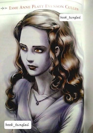 Twilight Illustrated Guide