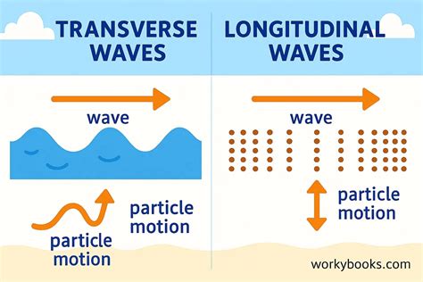Two Examples Of Transverse Waves