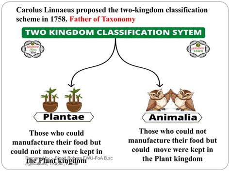 Two Kingdom Classification