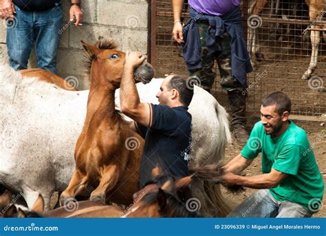 Two Man One Horse