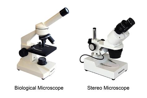 Two Microscope Types