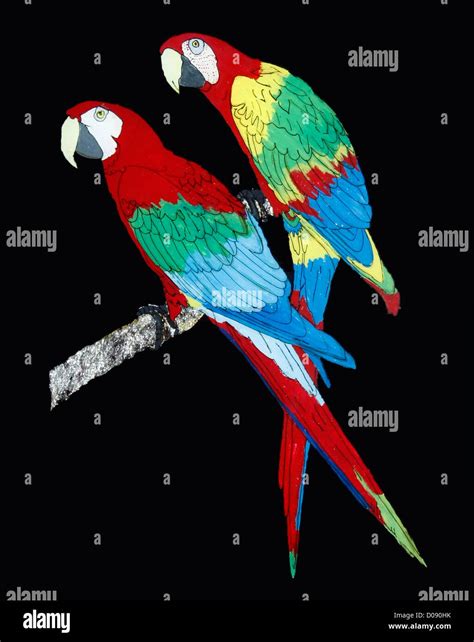 two parrots sitting on top of a tree branch with numbers 2 and 3 in the