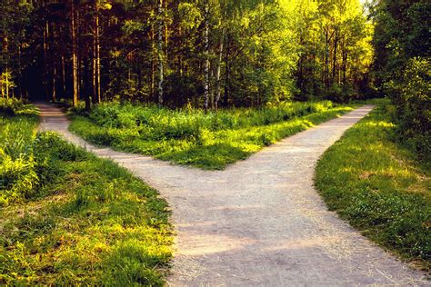 Two Roads In A Yellow Wood