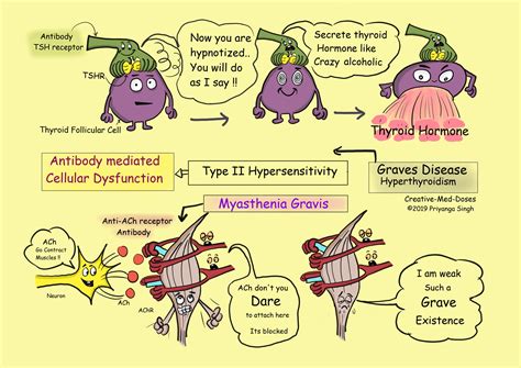 Type 2 Hypersensitivity