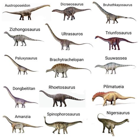 Type Of Dinosaurs