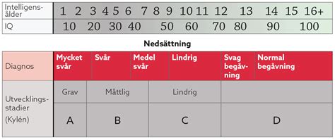 typer av funktionsnedsättning