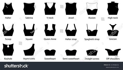 Types Of Cleavage