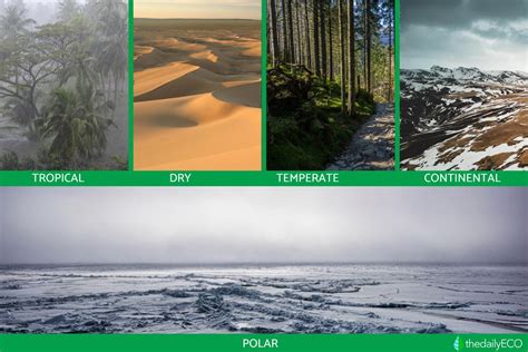 Types Of Climate