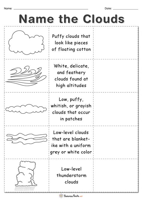 Types Of Clouds Worksheet