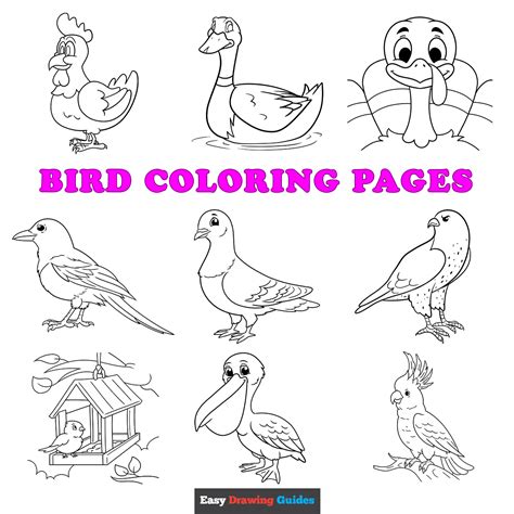 types of coloring